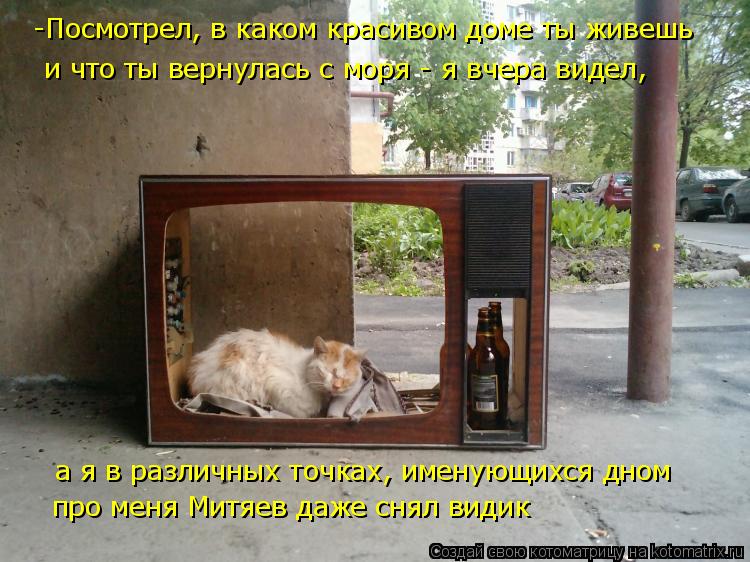 -Посмотрел, в каком красивом доме ты живешь а я в различных точках, именующихся дном про меня Митяев... Котоматрица: -Посмотрел, в каком красивом доме ты живешь а я в различных точках, именующихся дном про меня Митяев даже снял видик и что ты вернулась с мор