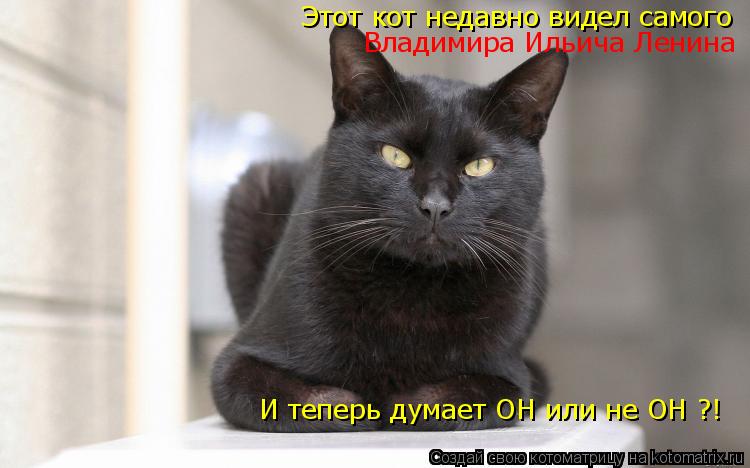Котоматрица: Этот кот недавно видел самого Владимира Ильича Ленина И теперь думает ОН или не ОН ?!