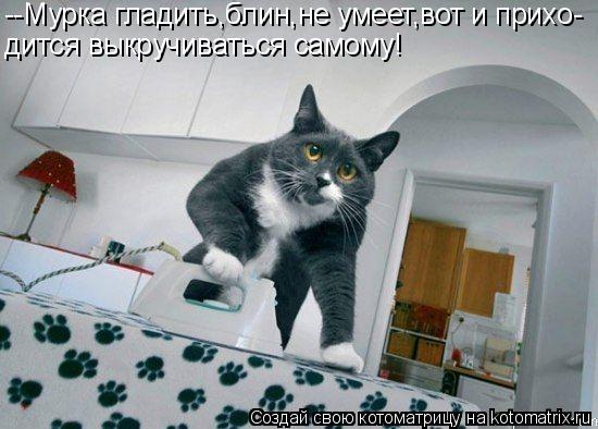 --Мурка гладить,блин,не умеет,вот и прихо- дится выкручиваться самому!... Котоматрица: --Мурка гладить,блин,не умеет,вот и прихо- дится выкручиваться самому!