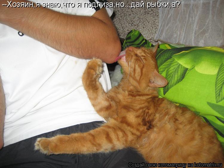 --Хозяин,я знаю,что я подлиза,но...дай рыбки,а?... Котоматрица: --Хозяин,я знаю,что я подлиза,но...дай рыбки,а?