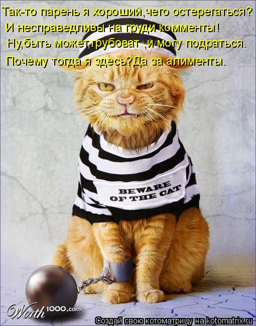 Так-то парень я хороший,чего остерегаться? И несправедливы на груди комменты! Почему тогда я здесь?Да... Котоматрица: Так-то парень я хороший,чего остерегаться? И несправедливы на груди комменты! Почему тогда я здесь?Да за алименты. Ну,быть может,грубоват ,и