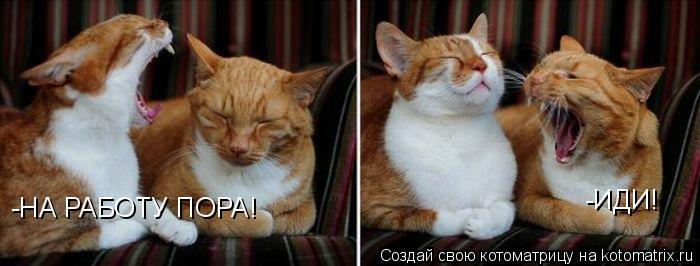 -НА РАБОТУ ПОРА! -ИДИ!... Котоматрица: -НА РАБОТУ ПОРА! -ИДИ!
