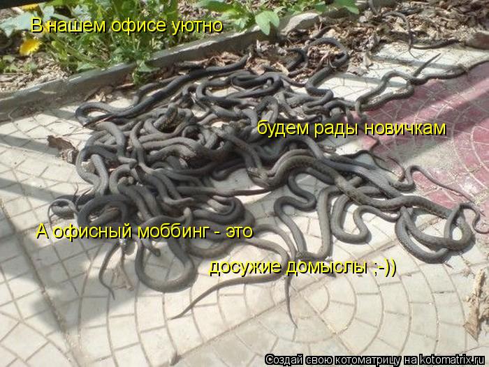 Котоматрица: В нашем офисе уютно будем рады новичкам А офисный моббинг - это досужие домыслы ;-))