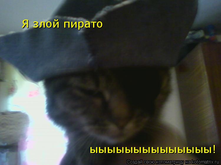 Я злой пирато ыыыыыыыыыыыыыы!... Котоматрица: Я злой пирато ыыыыыыыыыыыыыы!