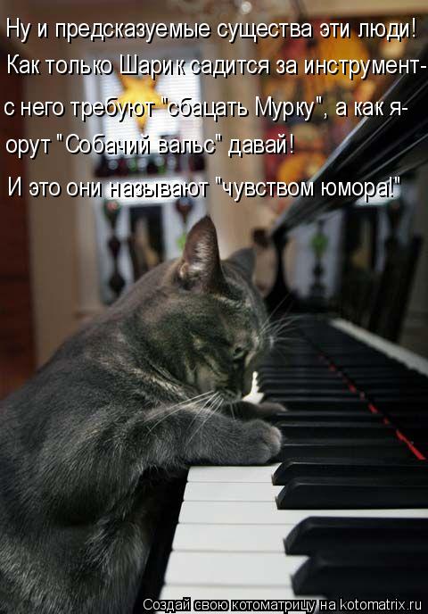 И это они называют "чувством юмора!" Ну и предсказуемые существа эти люди! Как только Шарик садится з... Котоматрица: И это они называют "чувством юмора!" Ну и предсказуемые существа эти люди! Как только Шарик садится за инструмент- с него требуют "сбацать Му