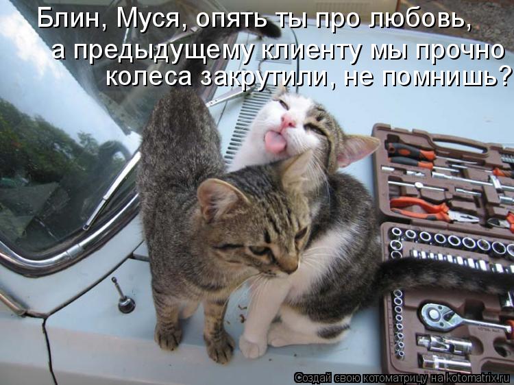 Котоматрица: Блин, Муся, опять ты про любовь,  а предыдущему клиенту мы прочно  колеса закрутили, не помнишь?