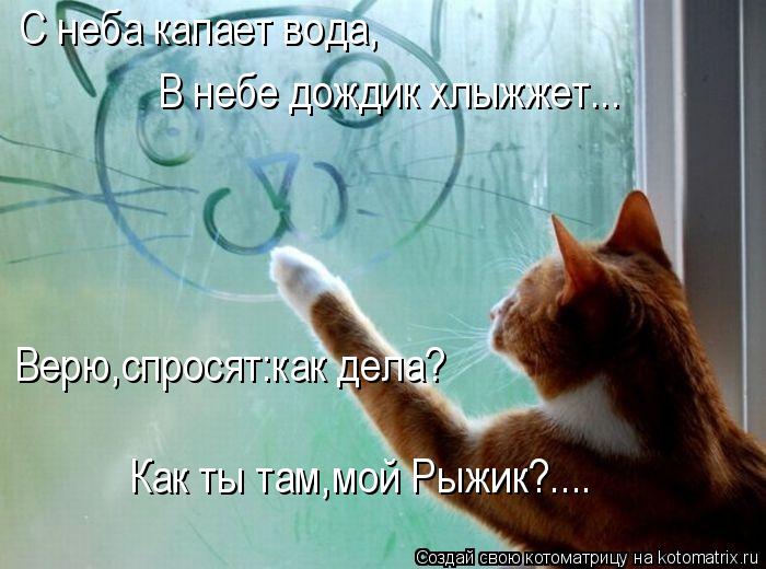 С неба капает вода, В небе дождик хлыжжет... Верю,спросят:как дела? Как ты там,мой Рыжик?....... Котоматрица: С неба капает вода, В небе дождик хлыжжет... Верю,спросят:как дела? Как ты там,мой Рыжик?....