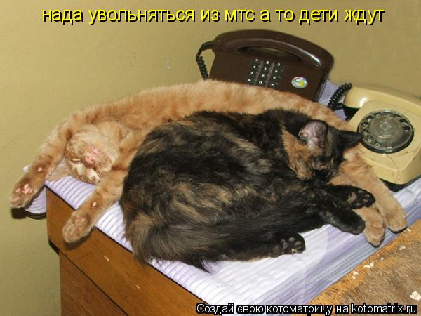 нада увольняться из мтс а то дети ждут... Котоматрица: нада увольняться из мтс а то дети ждут