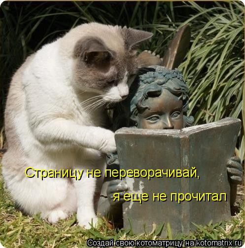 Страницу не переворачивай, я еще не прочитал... Котоматрица: Страницу не переворачивай, я еще не прочитал