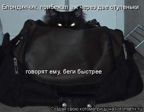Блондинчик, прибежал аж через две ступеньки говорят ему, беги быстрее... Котоматрица: Блондинчик, прибежал аж через две ступеньки говорят ему, беги быстрее