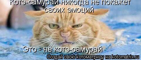 Котоматрица: Котэ-самурай никогда не покажет    своих эмоций Это - не котэ-самурай