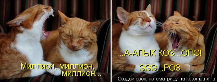 Миллион, миллион, миллион... ...А-АЛЫХ КОЗ...ОПС! ЭЭЭ...РОЗ... Котоматрица: Миллион, миллион, миллион... ...А-АЛЫХ КОЗ...ОПС! ЭЭЭ...РОЗ