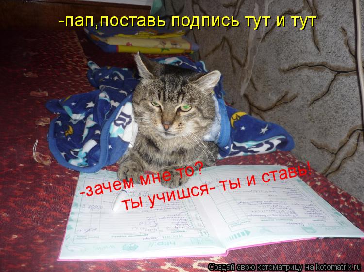 -пап,поставь подпись тут и тут -зачем мне то? ты учишся- ты и ставь! ты учишся- ты и ставь!... Котоматрица: -пап,поставь подпись тут и тут -зачем мне то? ты учишся- ты и ставь! ты учишся- ты и ставь!