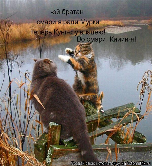 -эй братан смари я ради Мурки теперь Кунг-фу владею! Во смари: Кииии-я!... Котоматрица: -эй братан смари я ради Мурки теперь Кунг-фу владею! Во смари: Кииии-я!