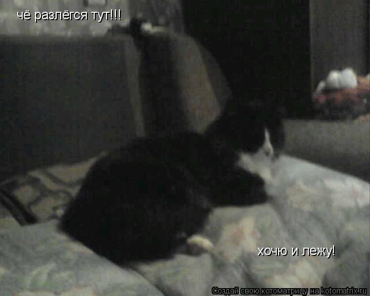 чё разлёгся тут!!! хочю и лежу!... Котоматрица: чё разлёгся тут!!! хочю и лежу!