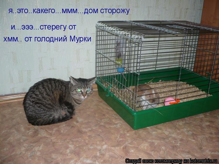 я..это..какего...ммм...дом сторожу и...эээ...стерегу от хмм.. от голодний Мурки... Котоматрица: я..это..какего...ммм...дом сторожу и...эээ...стерегу от хмм.. от голодний Мурки
