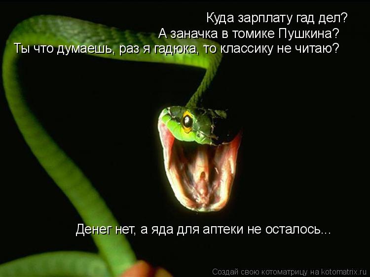 Котоматрица: Куда зарплату гад дел? А заначка в томике Пушкина? Ты что думаешь, раз я гадюка, то классику не читаю? Денег нет, а яда для аптеки не осталось...