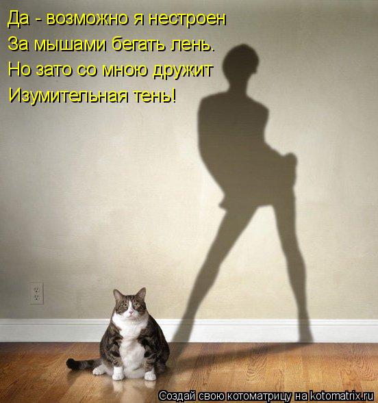 Да - возможно я нестроен За мышами бегать лень. Но зато со мною дружит Изумительная тень!... Котоматрица: Да - возможно я нестроен За мышами бегать лень. Но зато со мною дружит Изумительная тень!