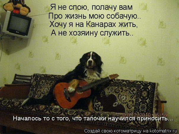 Котоматрица: Я не спою, полачу вам Про жизнь мою собачую.. Хочу я на Канарах жить, А не хозяину служить.. Началось то с того, что тапочки научился приносить.