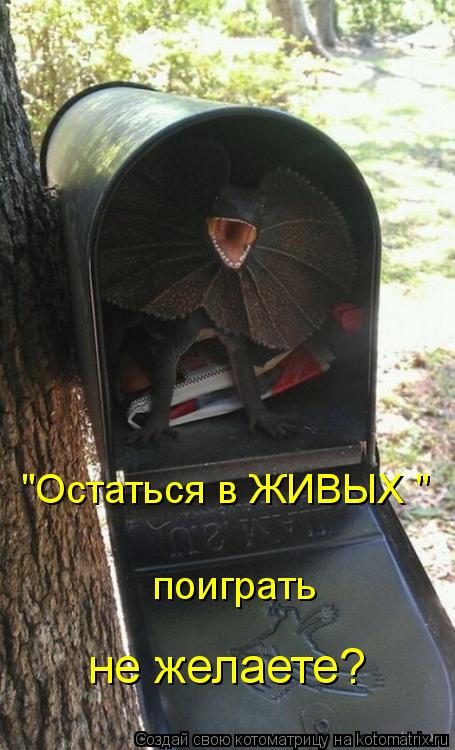 поиграть "Остаться в ЖИВЫХ " не желаете?... Котоматрица: поиграть "Остаться в ЖИВЫХ " не желаете?