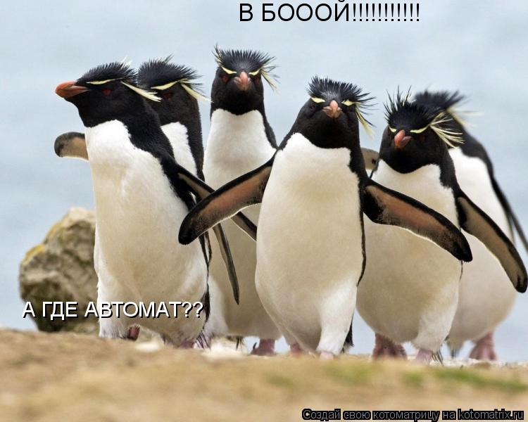 В БОООЙ!!!!!!!!!!! А ГДЕ АВТОМАТ??... Котоматрица: В БОООЙ!!!!!!!!!!! А ГДЕ АВТОМАТ??