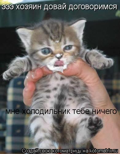 эээ хозяин довай договоримся мне холодильник тебе ничего... Котоматрица: эээ хозяин довай договоримся мне холодильник тебе ничего