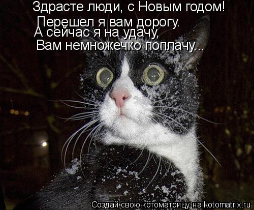Здрасте люди, с Новым годом! Перешел я вам дорогу. А сейчас я на удачу, Вам немножечко поплачу...... Котоматрица: Здрасте люди, с Новым годом! Перешел я вам дорогу. А сейчас я на удачу, Вам немножечко поплачу...