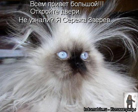 Всем привет большой!!! Откройте двери. Не узнали? Я Сережа Зверев..... Котоматрица: Всем привет большой!!! Откройте двери. Не узнали? Я Сережа Зверев..