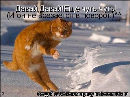 Давай,Давай!Ещё чуть-чуть! (И он не врезается в поворот.)^^... Котоматрица: Давай,Давай!Ещё чуть-чуть! (И он не врезается в поворот.)^^