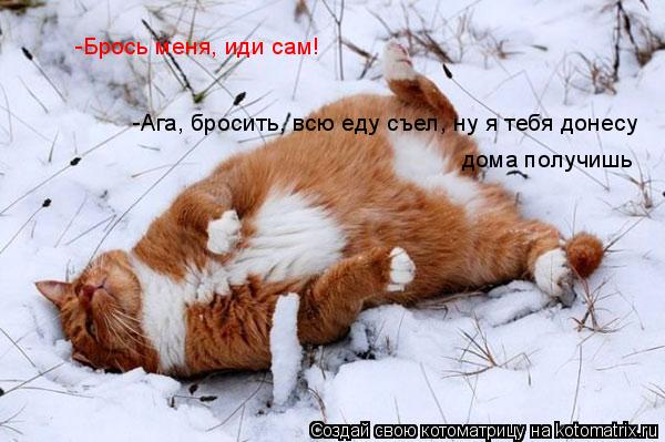 -Брось меня, иди сам! -Ага, бросить, всю еду съел, ну я тебя донесу дома получишь... Котоматрица: -Брось меня, иди сам! -Ага, бросить, всю еду съел, ну я тебя донесу дома получишь