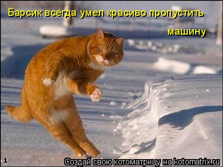 Барсик всегда умел красиво пропустить машину... Котоматрица: Барсик всегда умел красиво пропустить машину