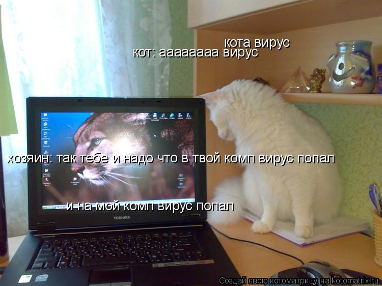 Котоматрица: кот: аааааааа вирус  кота вирус хозяин: так тебе и надо что в твой комп вирус попал и на мой комп вирус попал