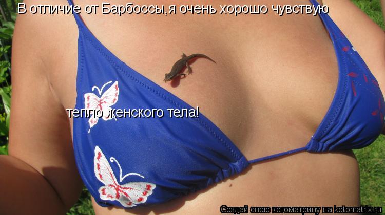 В отличие от Барбоссы,я очень хорошо чувствую тепло женского тела!... Котоматрица: В отличие от Барбоссы,я очень хорошо чувствую тепло женского тела!