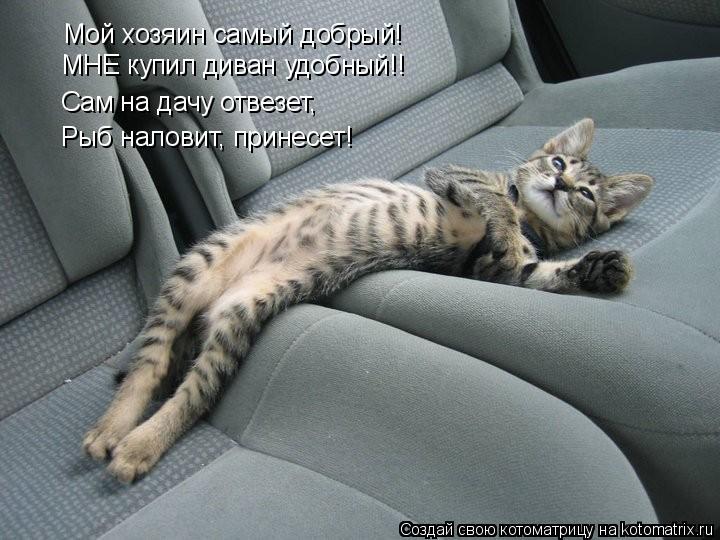 Котоматрица: Мой хозяин самый добрый! Сам на дачу отвезет, Рыб наловит, принесет! МНЕ купил диван удобный!!