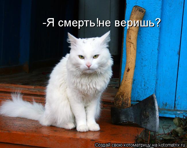 -Я смерть!не веришь?... Котоматрица: -Я смерть!не веришь?