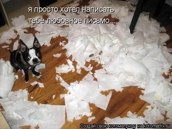 я просто хотел написать я просто хотел написать тебе любовное письмо...... Котоматрица: я просто хотел написать я просто хотел написать тебе любовное письмо...