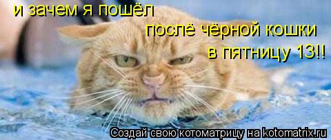 и зачем я пошёл послё чёрной кошки в пятницу 13!!... Котоматрица: и зачем я пошёл послё чёрной кошки в пятницу 13!!