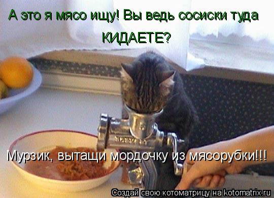 Мурзик, вытащи мордочку из мясорубки!!! А это я мясо ищу! Вы ведь сосиски туда КИДАЕТЕ?... Котоматрица: Мурзик, вытащи мордочку из мясорубки!!! А это я мясо ищу! Вы ведь сосиски туда КИДАЕТЕ?