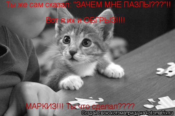 МАРКИЗ!!! Ты что сделал???? Ты же сам сказал: "ЗАЧЕМ МНЕ ПАЗЛЫ???"!! Вот я их и ОБГРЫЗ!!!!... Котоматрица: МАРКИЗ!!! Ты что сделал???? Ты же сам сказал: "ЗАЧЕМ МНЕ ПАЗЛЫ???"!! Вот я их и ОБГРЫЗ!!!!