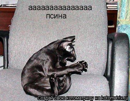 Котоматрица: ааааааааааааааа псина