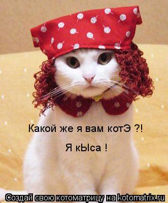 Какой же я вам котЭ ?! Я кЫса !... Котоматрица: Какой же я вам котЭ ?! Я кЫса !