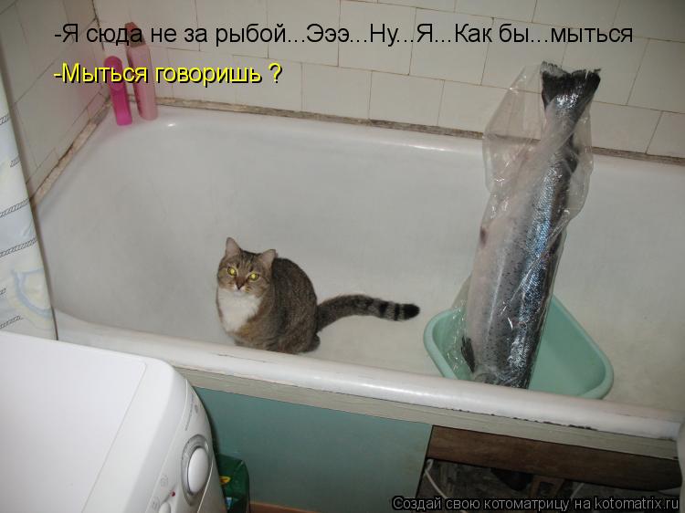 Котоматрица: -Мыться говоришь ? -Я сюда не за рыбой...Эээ...Ну...Я...Как бы...мыться