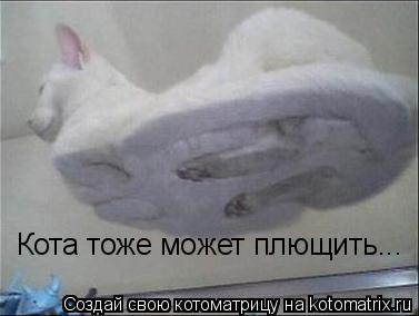 Кота тоже может плющить...... Котоматрица: Кота тоже может плющить...
