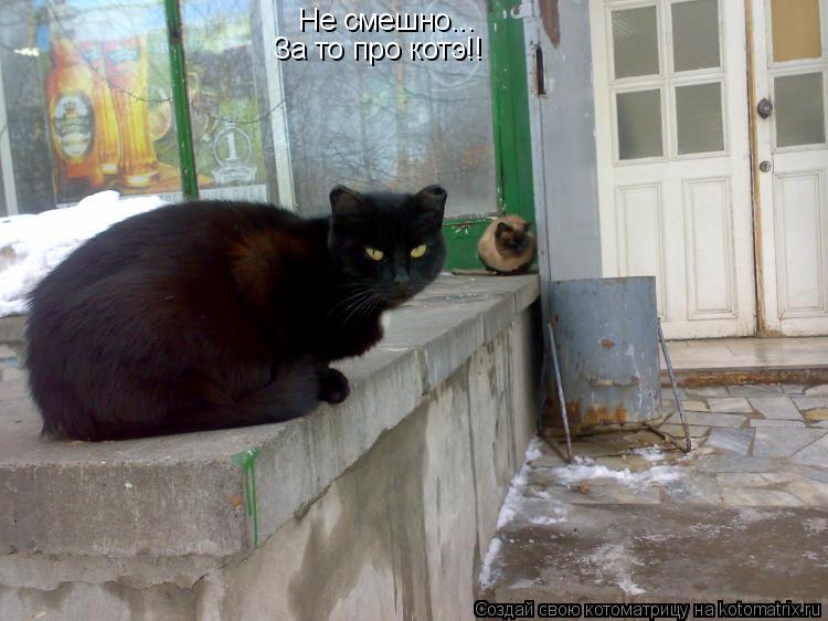 Не смешно... За то про котэ!!... Котоматрица: Не смешно... За то про котэ!!