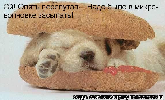 Ой! Опять перепутал... Надо было в микро- волновке засыпать!... Котоматрица: Ой! Опять перепутал... Надо было в микро- волновке засыпать!