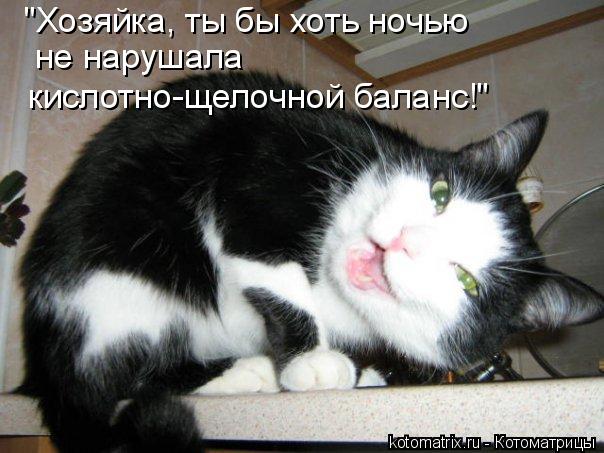 Котоматрица: "Хозяйка, ты бы хоть ночью не нарушала  кислотно-щелочной баланс!"