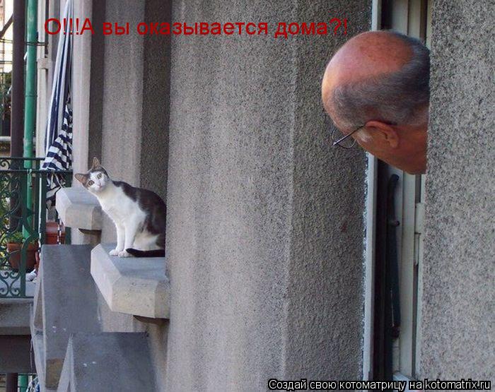 О!!!А вы оказывается дома?!... Котоматрица: О!!!А вы оказывается дома?!