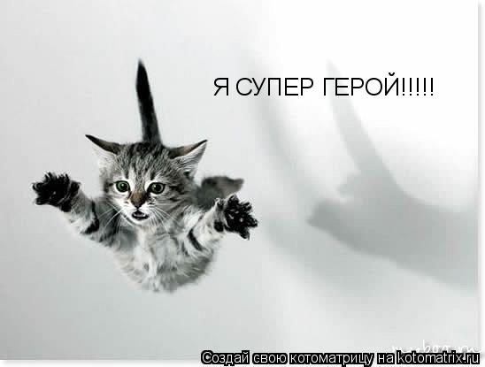 Я СУПЕР ГЕРОЙ!!!!!... Котоматрица: Я СУПЕР ГЕРОЙ!!!!!