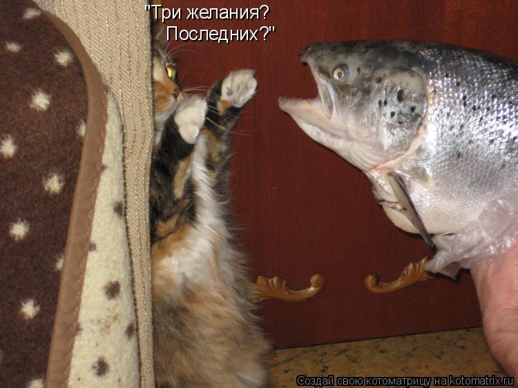 "Три желания? Последних?"... Котоматрица: "Три желания? Последних?"