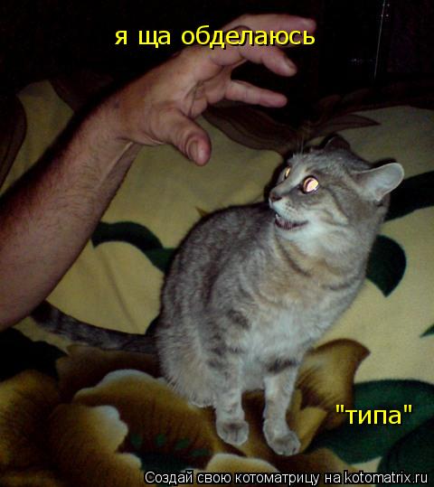 Котоматрица: я ща обделаюсь "типа"